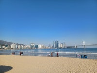 광안리 바다보고 가라. 혼자온 짧치 여자도 있네 - 자유게시판 - 코인판