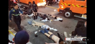 ㅅㅂ 이태원 좃나 심각하네 ㄷㄷ - 자유게시판 - 코인판