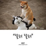 바낸 넴 이랴!~~이랴이랴!! - 자유게시판 - 코인판