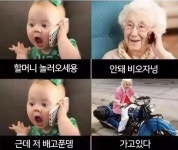 전세계 할머니 국룰 - 유머/감동 - 코인판