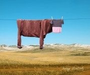 세탁소.jpg - 유머/감동 - 코인판