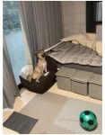 개 키우는 사람이 가장 두려워 하는 상황.jpg - 유머/감동 - 코인판