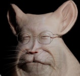 대박]미 국무부 입장 나옴, 찢좆됨 - 정치/시사 - 코인판