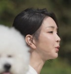 동물농장 출연한 김건희 패션 화제 - 정치/시사 - 코인판