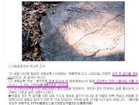 민ㅈ당지지자들이 친일파보다 더 나쁜이유 (개정) - 정치/시사 - 코인판