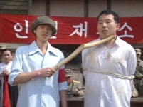 1찍들이 바라고 원하는 세상 - 정치/시사 - 코인판
