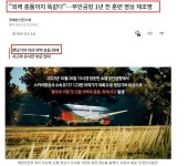 이거 음모제모탈모다 - 정치/시사 - 코인판
