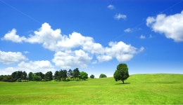 풍경1 - 폰카갤러리 - 코인판