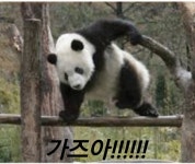 가즈아~~~~ - 폰카갤러리 - 코인판