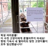 이 고양이에게 문을 열어주지 마시오 - 자유갤러리 - 코인판