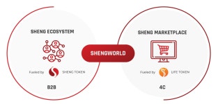 영혼까지 맑게~ sheng~ - ICO/IEO - 코인판
