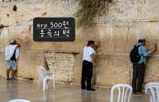 리플만 안가네 - 리플 - 코인판