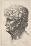 Wenceslaus Hollar | Head of a man with thick curly hair in profile to the left | The Metropolitan Museum of Art