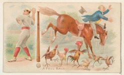 | A Foul Ball, from the Talk of the Diamond set (N135) issued by Duke Sons & Co., a branch of the American Tobacco Company | The... 
