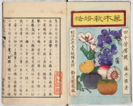 Illustrated book | Japan | Meiji period (1868–1912) | The Metropolitan Museum of Art