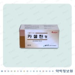 카셀틴정 Caceltin Tab. 의약품 정보