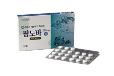 팜노바정250mg Famnova Tab. 250mg 의약품 정보