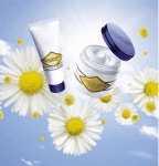 2026년 부루벨코리아 채용 기업정보 | 인크루트