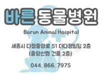 2025년 바른동물병원 채용 기업정보 | 인크루트