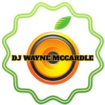 1191 🔥🔥🔥🔥🔥 by DJ Wayne McCardle