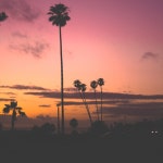 Summer Love - DANCEHALL TYPE BEAT ( SUMMER BEAT with VOX ) by Beatmann