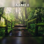 Jungle by AXAVEX