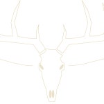 Eminem Type Beat Renard by enxambeat