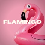 FLAMINGO (Tech House Type Beat) by Deland Beatz Studio