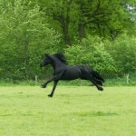 Hyper Pop Beat by rafaelqy