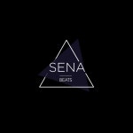 no fuxs given (21 savage x metro boomin type beat) by sena beats