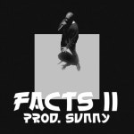 Facts II by SVNNY