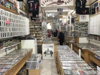 elastic rock - Record Stores elastic rock