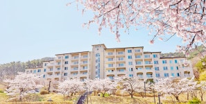에이치 에비뉴 호텔 경주, 경주 (2025-03-27~2025-03-28, 1박, 2인) 에이치 에비뉴 호텔 경주, 대한민국