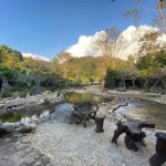 Mae On 호텔 탄통 로지 - 스카이스캐너