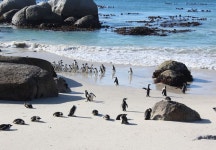 케이프타운 호텔 볼더스 비치 하우스 - 스카이스캐너