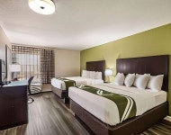 Quality 계열 퀸시 호텔 1박당 ₩120,455부터 | 스카이스캐너