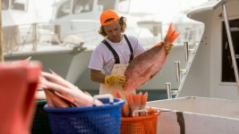 2026년 데스틴 여행 및 가볼 만한 곳 | 스카이스캐너
