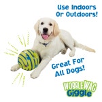 Wobble Wag Giggle Interactive Dog Toy Plastic Interactive Dog... com Wobble Wag Giggle For all Size Dogs Plastic Interactive Dog... 