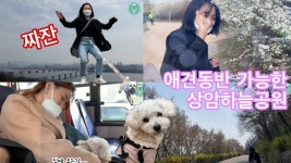 분당 미금역 근처 괜찮은 고양이 병원있을까요?