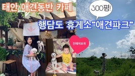 강아지가 변비인가요...??