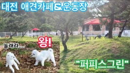해리집사는 그린다님께.