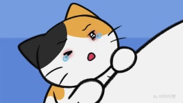 비마이펫 — 반려생활의 모든 순간을 함께합니다