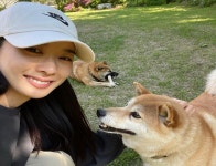 다시 뜨거운 날씨