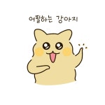어필하는 강아지 - 뿌꾸툰 - 비마이펫