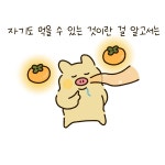 어필하는 강아지 - 뿌꾸툰 - 비마이펫