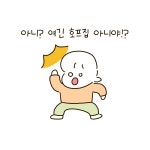 11살도 호프집에 갈 수 있다고? - 뿌꾸툰 - 비마이펫