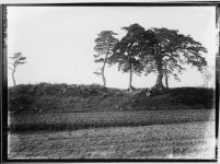 우리역사넷 > 한국사연대기