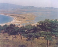 우리역사넷 > 한국사연대기