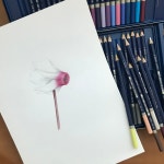기초 보태니컬 아트: 색연필로 그리는 컬러별 꽃 한 송이 | 송은영 - 교보문고