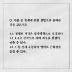 날개 위의 세계 | 스콧 와이덴솔 - 교보문고